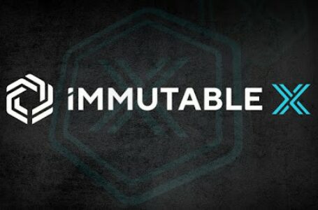 NFT Scaling Platform Immutable Raises $200 million in Series C Funding Round