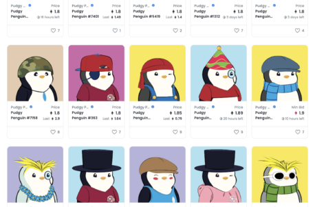 Pudgy Penguins NFT Projects Review