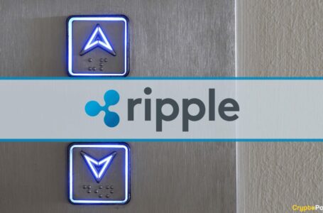 Ripple Joined by Former White House Advisor as Board Member