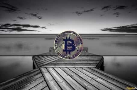 Bitcoin’s Volatility on US Inflation Reports and Stacks’ STX 33% Explosion (Market Watch)
