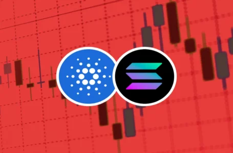 Cardano(ADA) Will Compete on Par With Solana (SOL) Soon! Here’s Why?