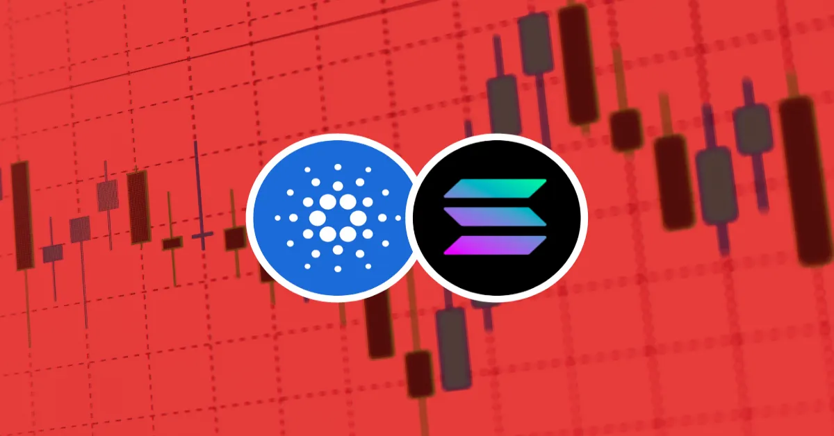 Cardano