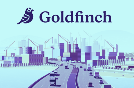 Is Worth Investing In Goldfinch (GFI)?