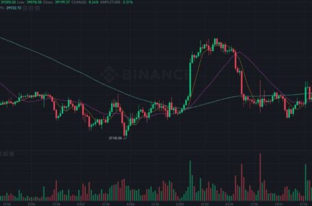 Weekend Watch: Bitcoin Consolidation Continues, Ripple (XRP) Skyrockets 7%