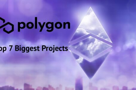 The Top 7 Biggest Polygon Projects