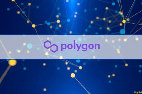 Here’s Why Polygon (MATIC) Network Was Down for 11 Hours