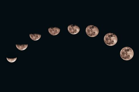 By The Numbers: Spotlight On LUNA’s Growing Bitcoin Reserves