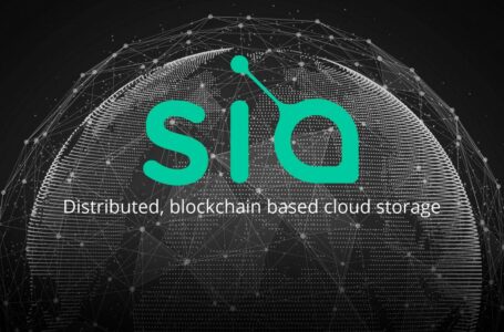 Siacoin (SC) Review: Everything You Need To Know