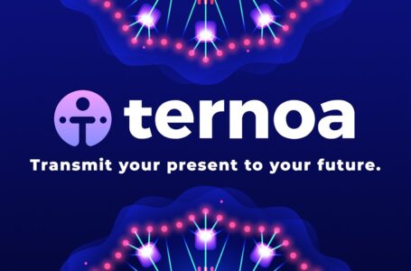 Ternoa (CAPS) Review: Things You Need To Know