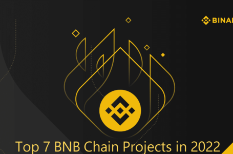 7 Best BNB Chain Projects in 2022