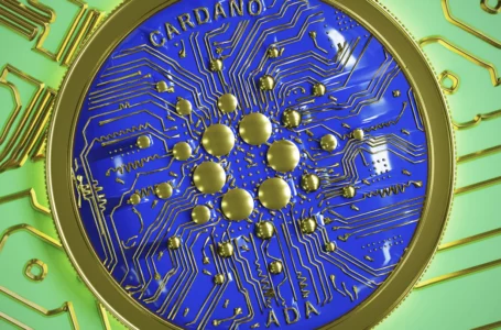 Cardano’s Big Update Lands in June, IOHK Shares Two Things to Expect: Details