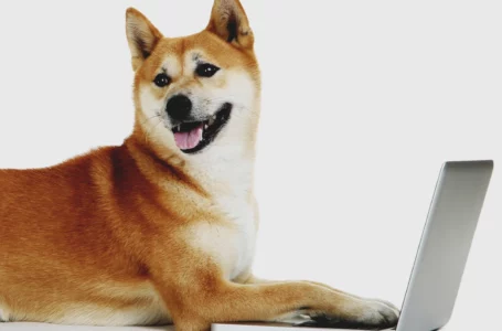 $1.4 Million in AAVE, 58 Billion SHIB Grabbed By This Whale After Buying 175 Billion Shiba Inu