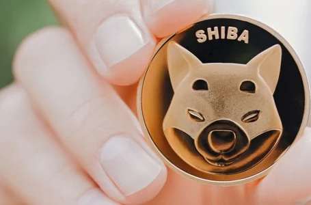 175 Billion SHIB Bought by Another “Tolkien Whale” on the Dip: Report