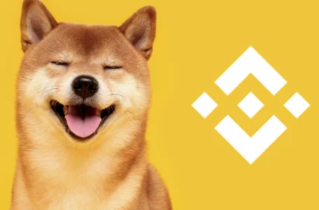 Shiba Inu Team to Expound on Latest Developments at Binance-Hosted AMA