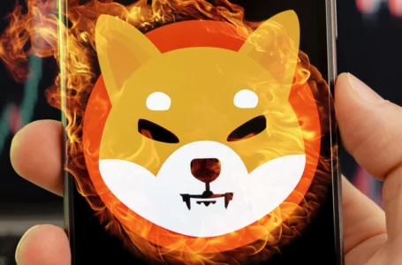 463.3 Million SHIB Burned, But SHIB Price Still Goes Down