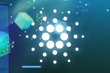 Cardano’s Metaverse Now Has Over 22,000 Landholders: Details