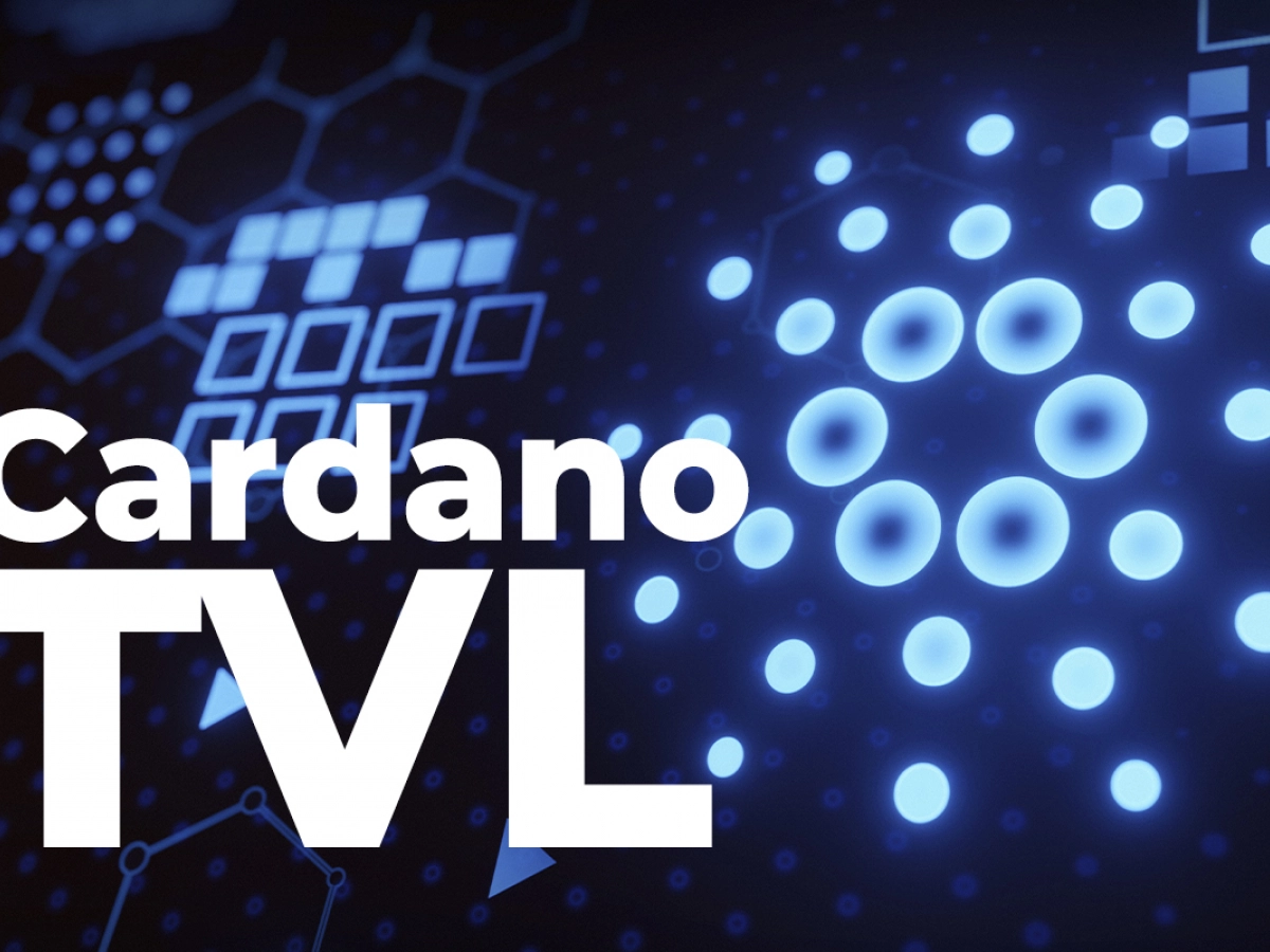 Cardano