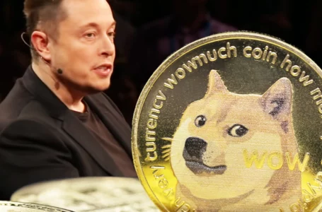Elon Musk Shares DOGE Video That “Explains Everything”
