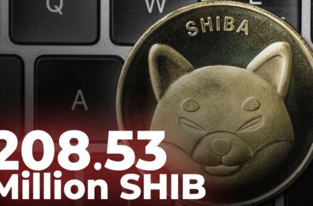 208.53 Million SHIB Burned within 24+ Hours, 161 Million Gone in One Transfer