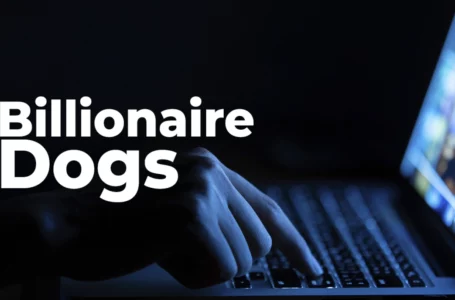 NFT Collection Billionaire Dogs Promoted by Popular French Influencer Scammed Users, 100% of Funds Stolen