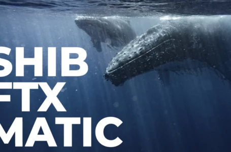 SHIB, FTX, MATIC on List of Assets Whales Are After: Report