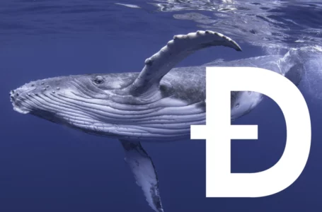 Dogecoin Whales Increase Transactions by 126% as DOGE Enters Profit-Taking