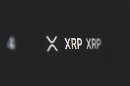 53.5 Million XRP Shifted by Ripple’s Large ODL Corridor