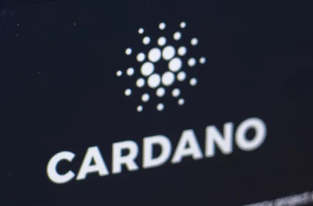 Cardano Launches New Project to Accelerate Ecosystem Growth: Details