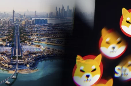 SHIB and Other Cryptocurrencies Now Accepted for Payment at Dubai-Based Cafe