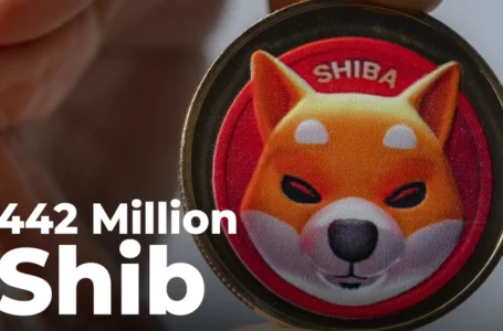 442 Million Shiba Inu Burned in Past 3 Days, While SHIB Shows 11% Weekly Drop