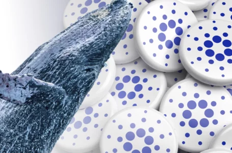 Cardano Dominance Drops, This Might Be Gamechanger, According to ADA Whale