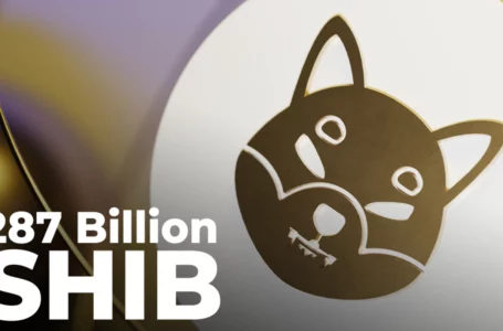 287 Billion SHIB Purchased by Biggest Whale on Ethereum Network