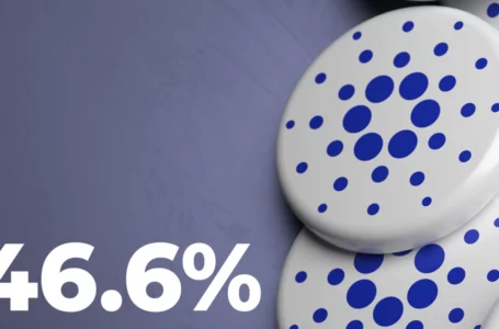 Cardano’s Biggest Wallets Again Own Largest Part of ADA Supply in 2 Years: 46.6%