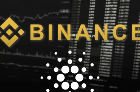 Cardano’s Annual Interest Rate Spikes to 54% as Binance Running Short on Supply