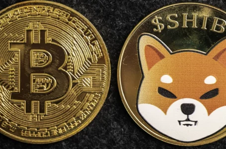 90% Vote for SHIB vs. BTC in Recent Poll by Bitcoin of America ATM Chain