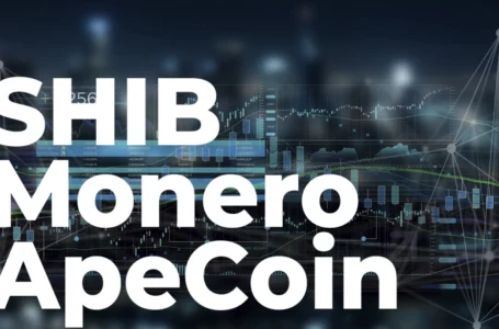SHIB, Monero, ApeCoin Are Rallying Amid Crypto Market Bloodbath: Details