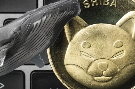 As Shiba Inu Rallies by 20%, Whale Purchases 775 Billion Tokens