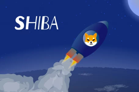 SHIB Metaverse Transactions Exceed 4,500; Here Is Current Bid Event Countdown