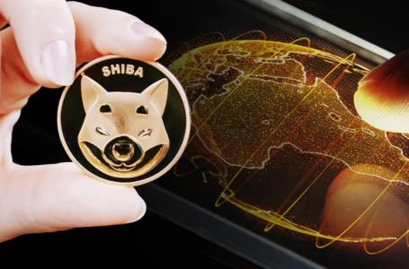 Shiba Inu Lists on SouthAfrican Exchange, Bringing Access to Thousands of Customers
