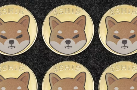 223 Billion SHIB Grabbed by Top Whale as Shiba Inu Returns as Most-Purchased Asset