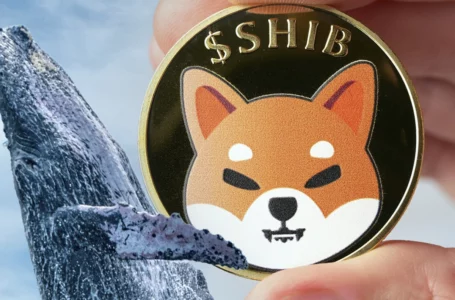 243.6 Billion SHIB Scooped Up by Whales as Token Recovers from Recent Fall