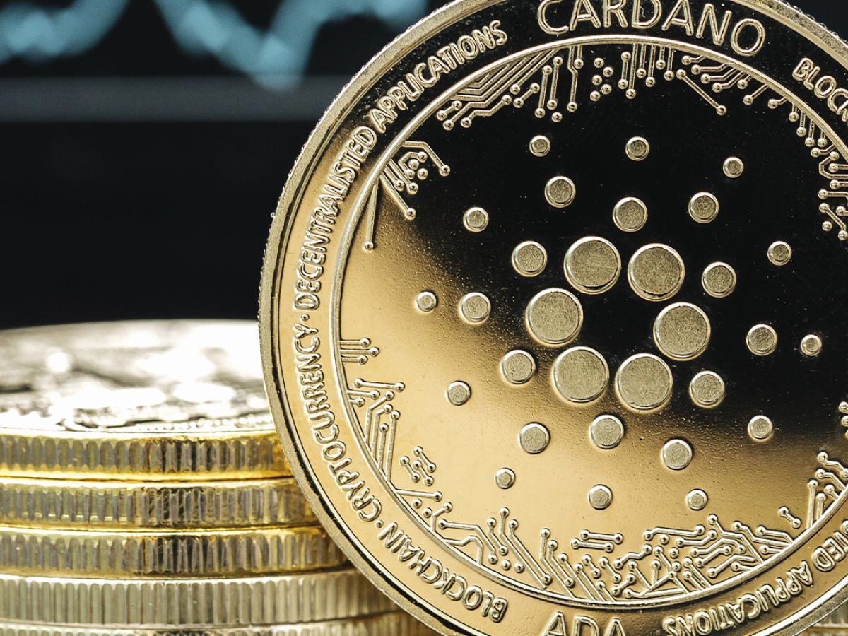 Cardano