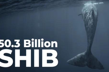 50.3 Billion SHIB Bought by This Whale as SHIB Becomes Most Used Smart Contract