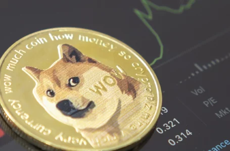 Dogecoin’s Profitability Reaches Close to 60% as Price Rises by 10%