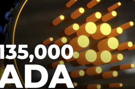 Cardano-Based NFT Piece Goes for Record-Breaking 135,000 ADA