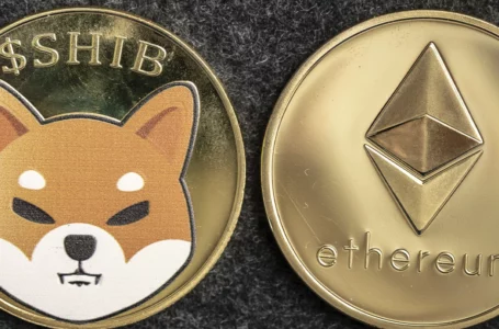 SHIB Gains Traction Among ETH Whales, Becoming Most Used Smart Contract for Them