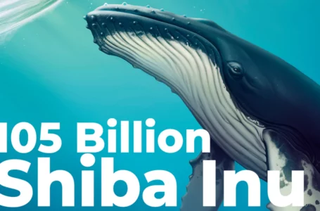 105 Billion Shiba Inu Bought by ETH Whale as SHIB Adoption Gets Major Boost