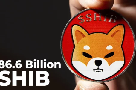 86.6 Billion SHIB Acquired by Whale, Who Grabbed Almost 2 Trillion SHIB in April