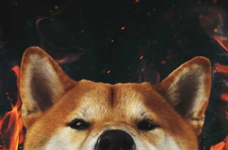 Shiba Inu Burn Portal Gaining Traction with Holders Shortly After Launch