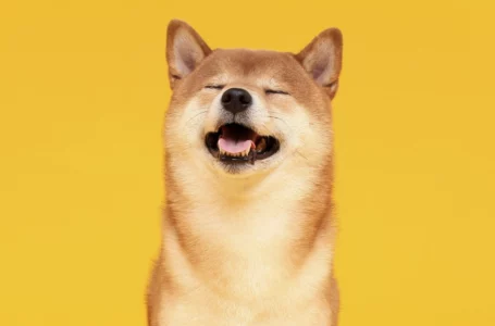 Shiba Inu Burn Portal Hits New Milestone with 15 Billion SHIB Burned